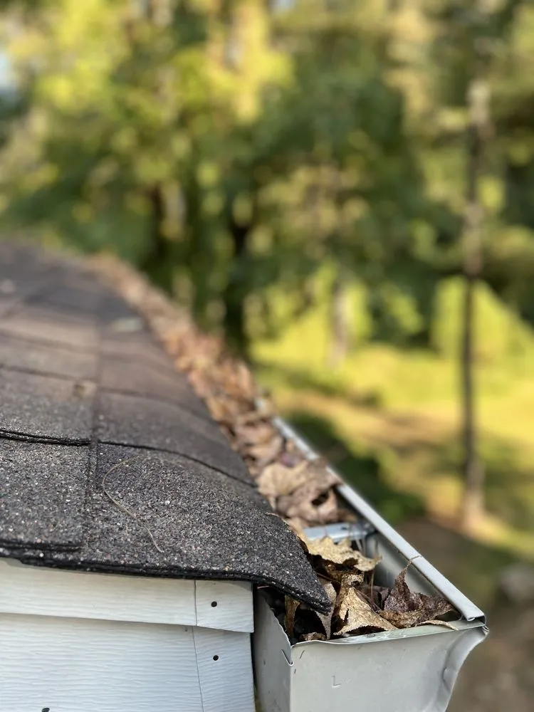 Trusted landscaping services experts serving Tuscaloosa, AL - Southern Roots Lawn & Landscape