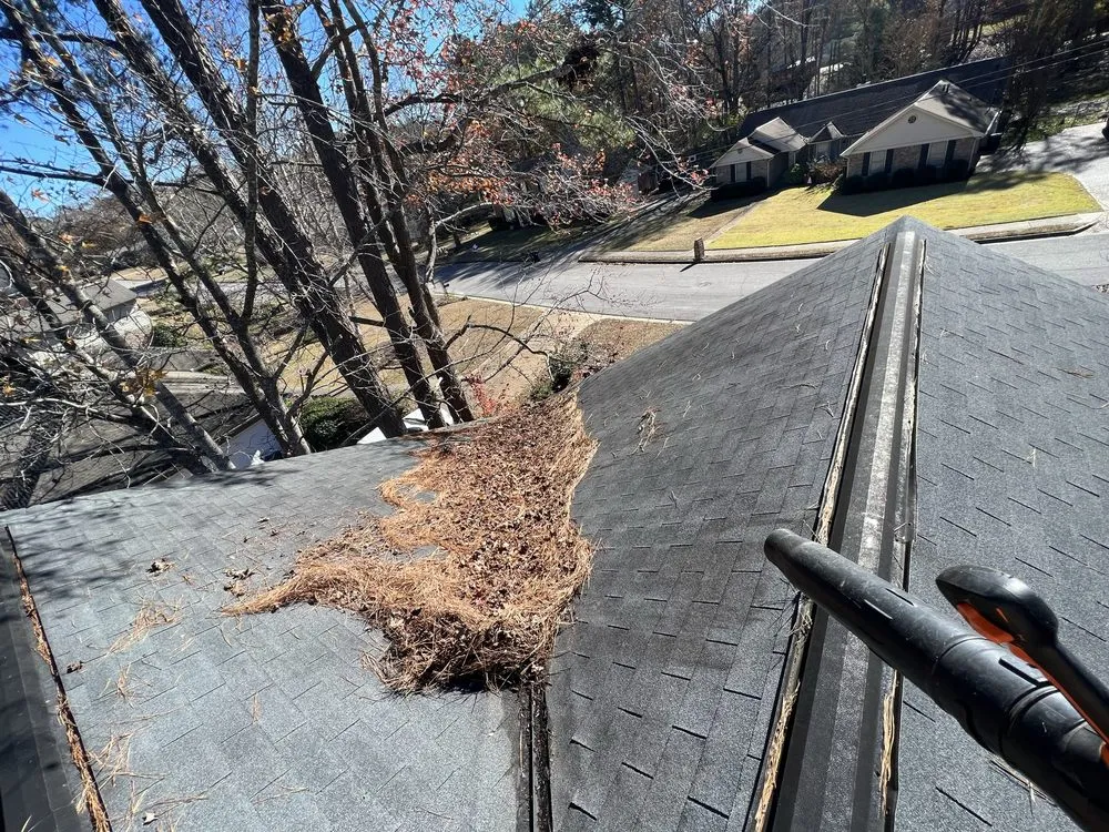 Trusted landscaping services in Tuscaloosa, AL by Southern Roots Lawn & Landscape