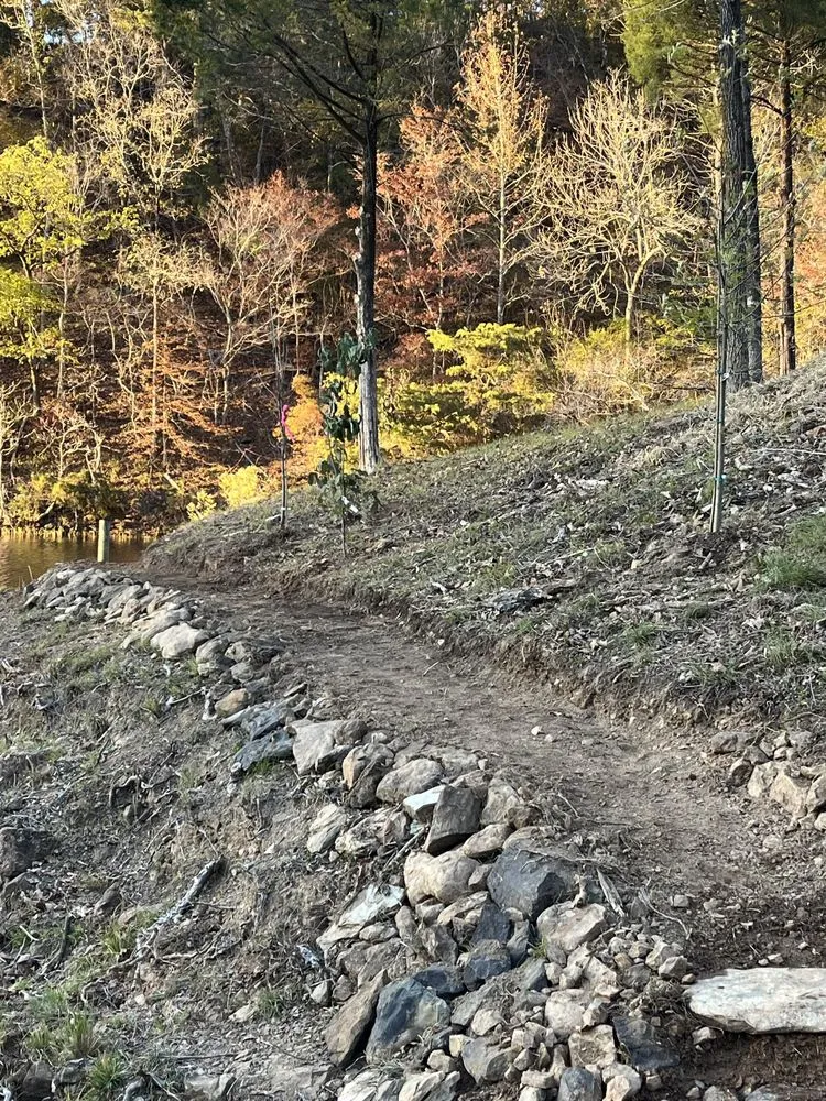 Trusted landscaping services for beautiful yards across Tuscaloosa, AL - Southern Roots Lawn & Landscape