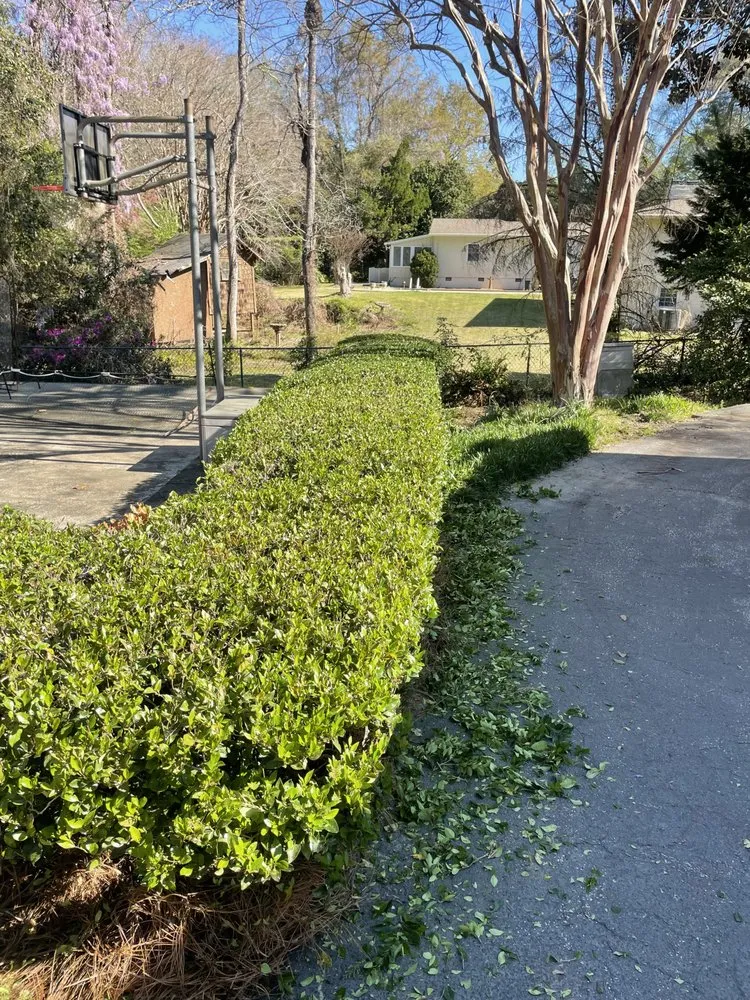 Professional yard cleanup service in Sumter, SC by Southern Roots Lawn Care & Landcaping