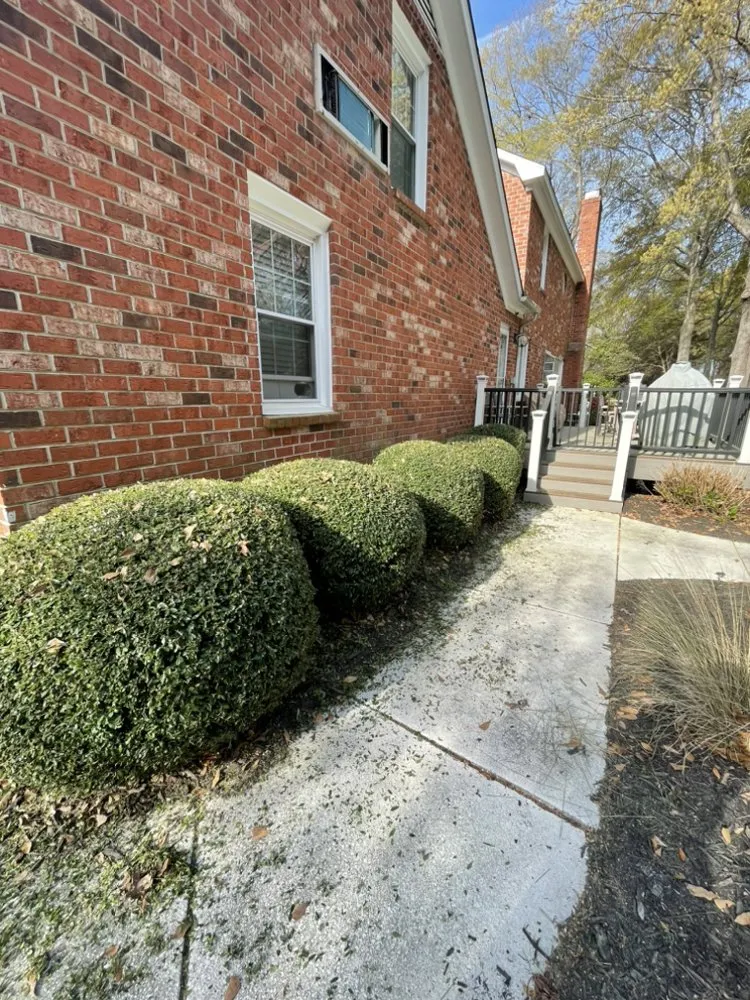 Top-rated yard cleanup service in Sumter, SC - Southern Roots Lawn Care & Landcaping