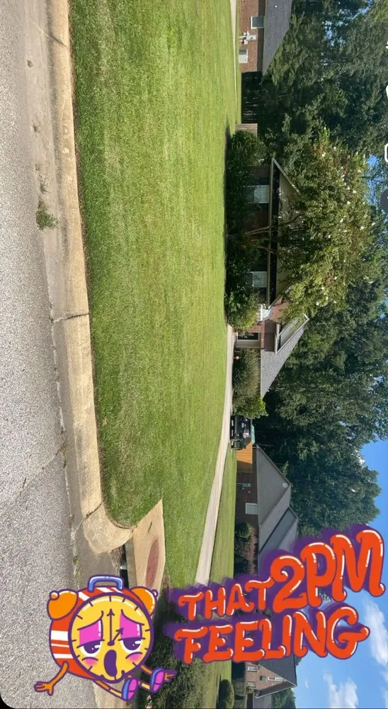 Trusted yard cleanup service for beautiful yards across Sumter, SC - Southern Roots Lawn Care & Landcaping