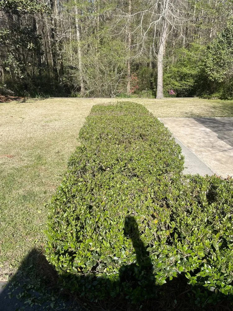 Custom garden landscaping in Sumter, SC - Southern Roots Lawn Care & Landcaping
