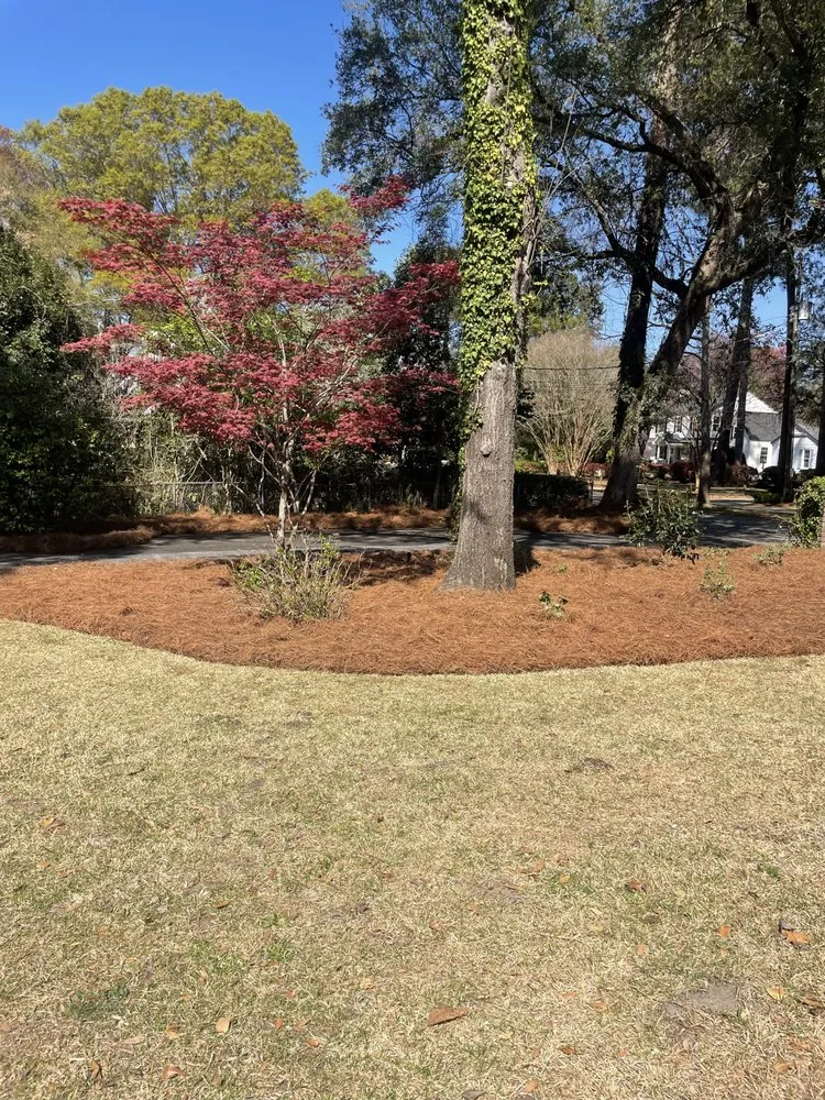 Trusted yard maintenance for outdoor upgrades across Sumter, SC - Southern Roots Lawn Care & Landcaping