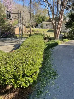 Southern Roots Lawn Care & Landcaping Logo