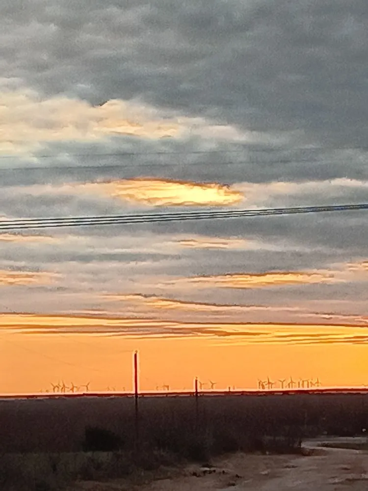 Local landscape installation for outdoor upgrades in Abilene, TX by Southern Roots Lawn Care