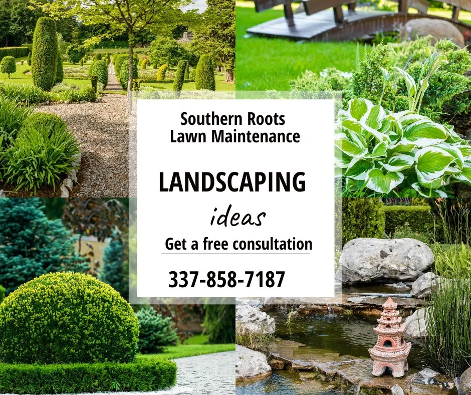 Custom landscape installation in Youngsville, LA by Southern Roots Lawn Maintenance