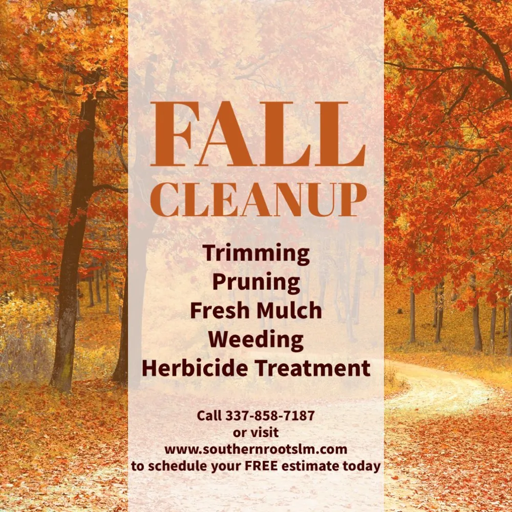 Trusted landscape design in Youngsville, LA by Southern Roots Lawn Maintenance