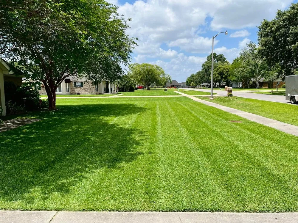 Custom yard cleanup service experts serving Youngsville, LA - Southern Roots Lawn Maintenance