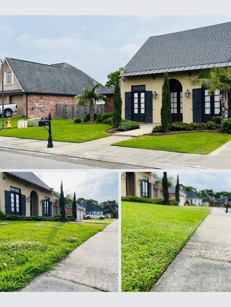 Trusted lawn care service in Youngsville, LA by Southern Roots Lawn Maintenance