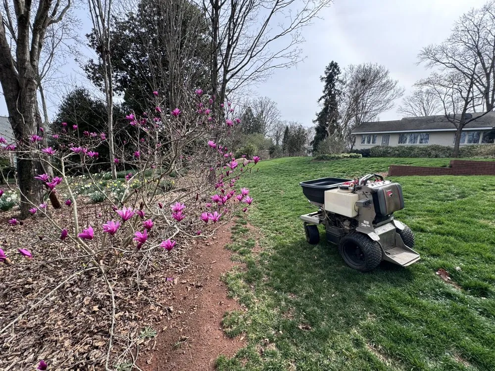 Local landscape design for homes across Statesville, NC - Southern Roots Lawncare