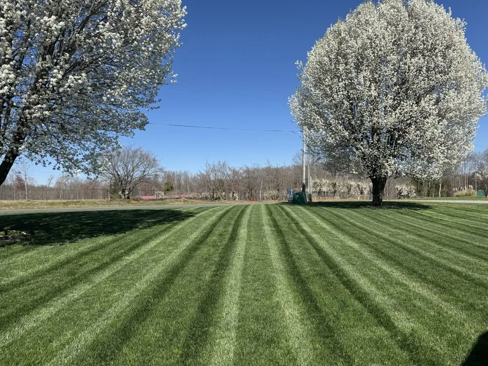 Professional landscape design experts serving Statesville, NC - Southern Roots Lawncare