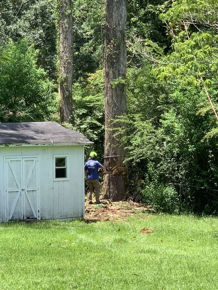 Custom landscape design in Summerville, SC by Southern Roots Tree Service