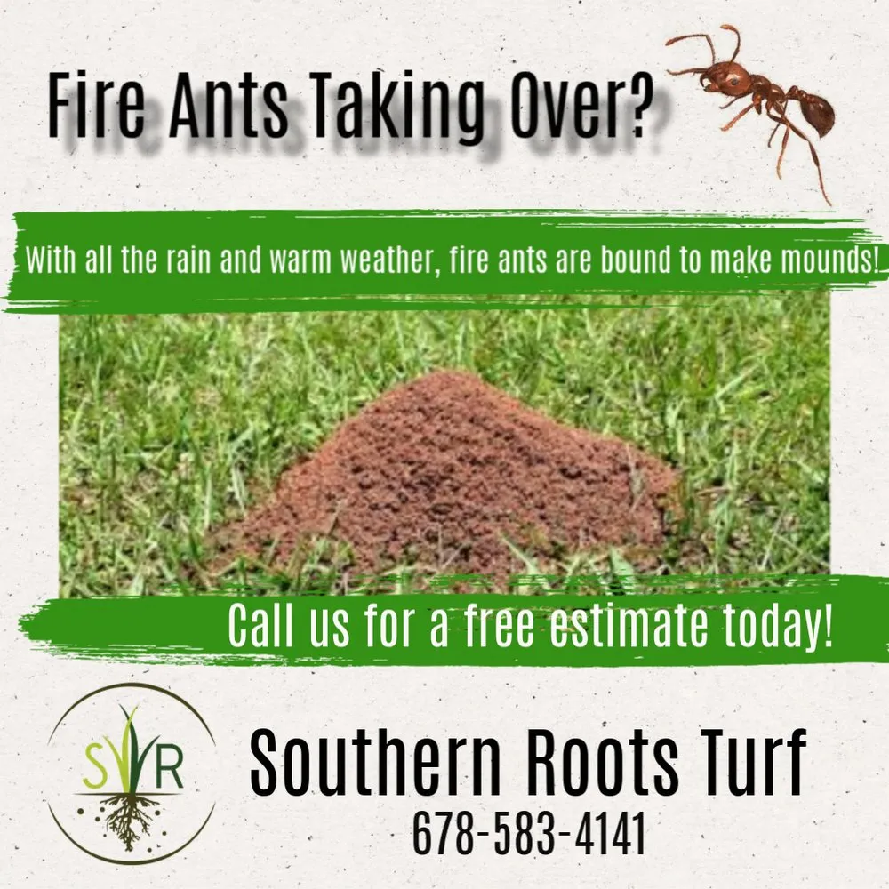 Reliable garden landscaping for residential properties in McDonough, GA by Southern Roots Turf