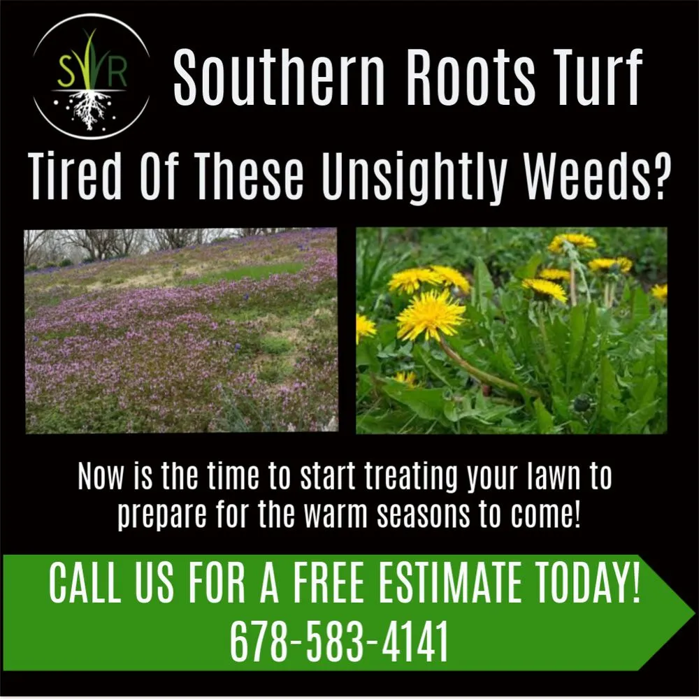Expert outdoor landscaping experts serving McDonough, GA - Southern Roots Turf