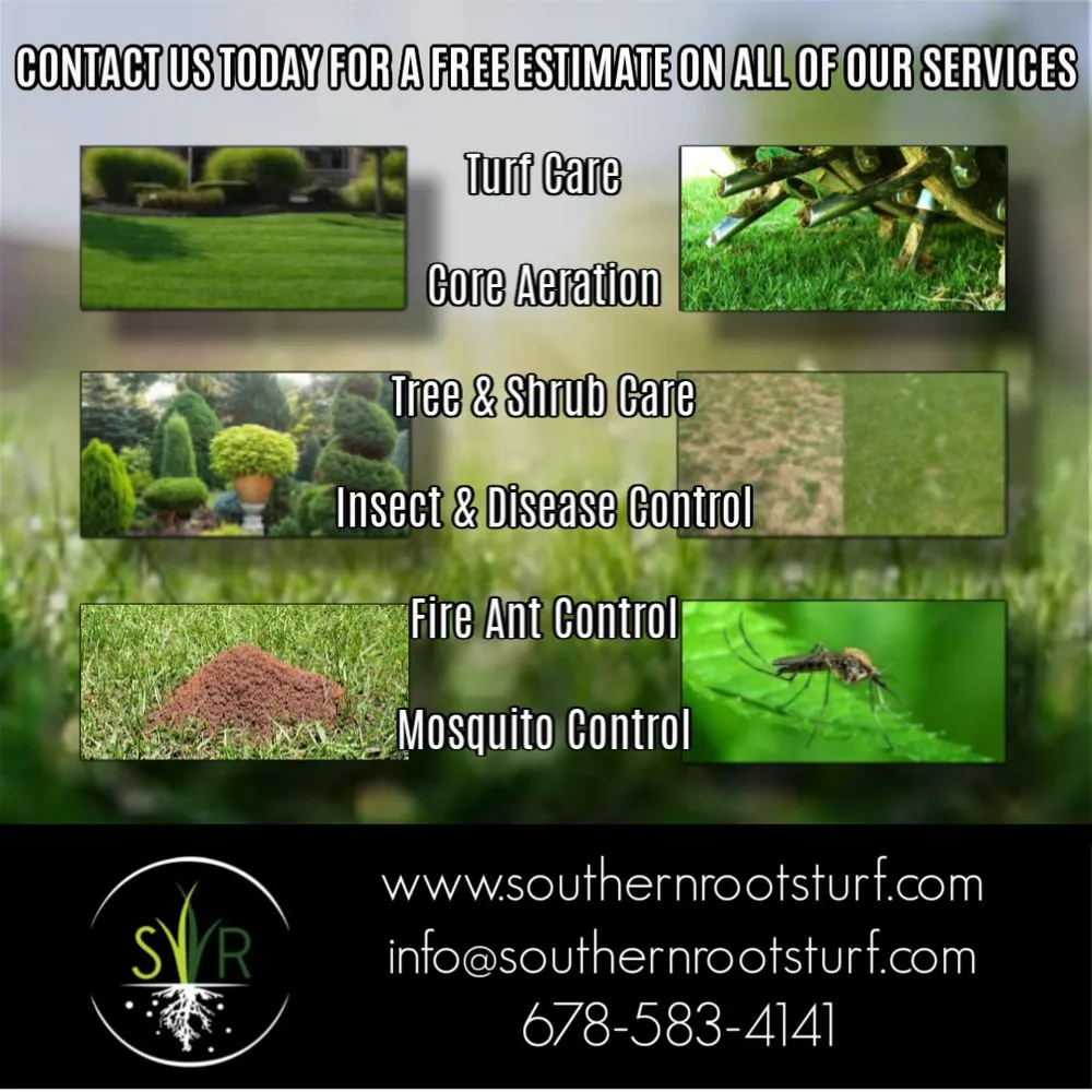 Professional residential landscaping experts serving McDonough, GA - Southern Roots Turf