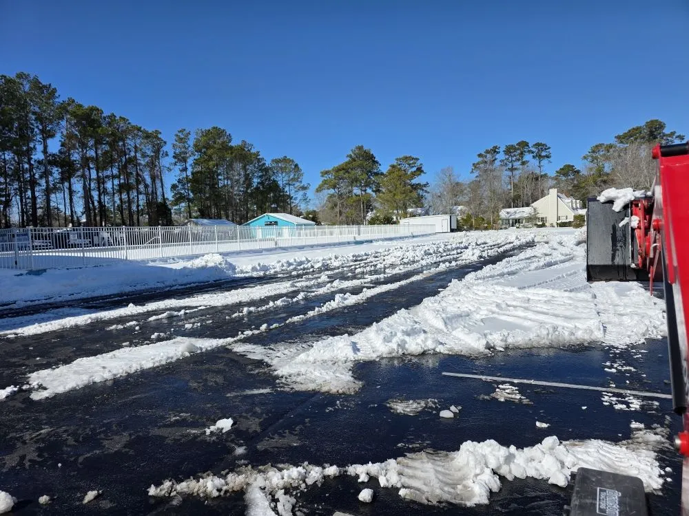 Expert outdoor landscaping for beautiful yards across Newport, NC - Southern Salt Works