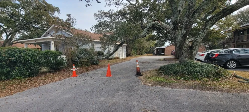 Professional yard cleanup service in Newport, NC - Southern Salt Works