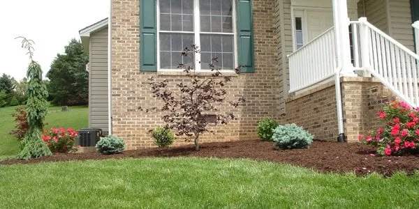 Expert lawn care service in Broadway, VA by Southern Scapes