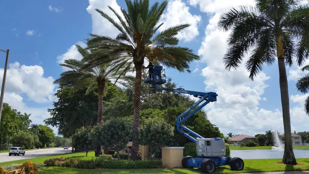Local lawn mowing service in Delray Beach, FL - Southern Scapes