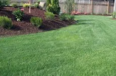 Expert garden landscaping for homes across Easley, SC - Southern Scapes