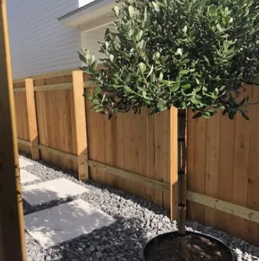 Local landscaping services experts serving Lafayette, LA - Southern Scapes