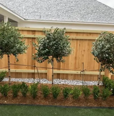 Local outdoor landscaping for homes across Lafayette, LA - Southern Scapes