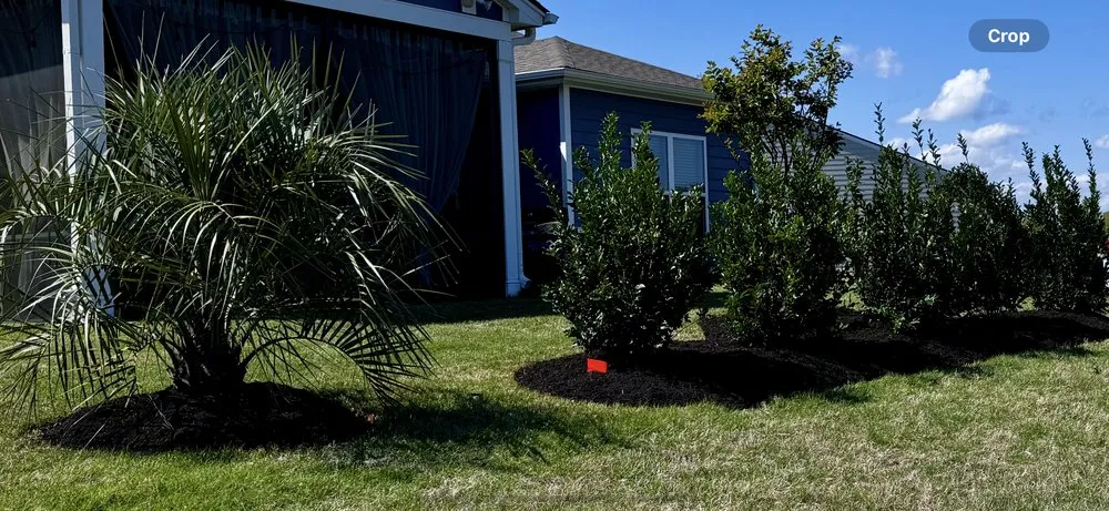 Reliable lawn care service experts serving Loris, SC - Southern Scapes