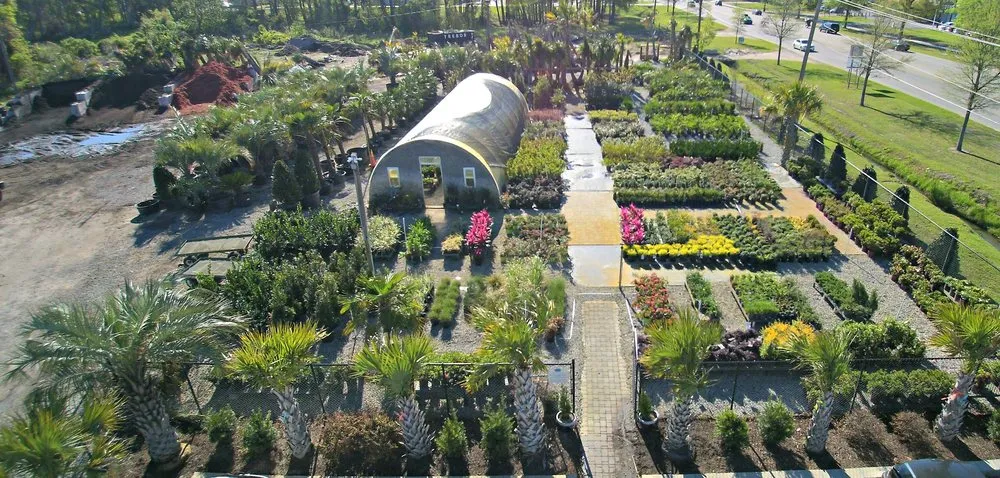 Professional yard cleanup service in Loris, SC - Southern Scapes