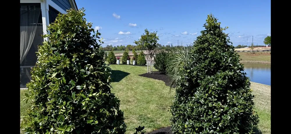 Reliable landscaping services in Loris, SC - Southern Scapes