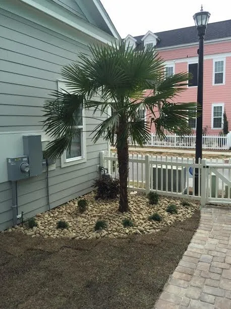 Local outdoor landscaping for outdoor upgrades in Loris, SC by Southern Scapes