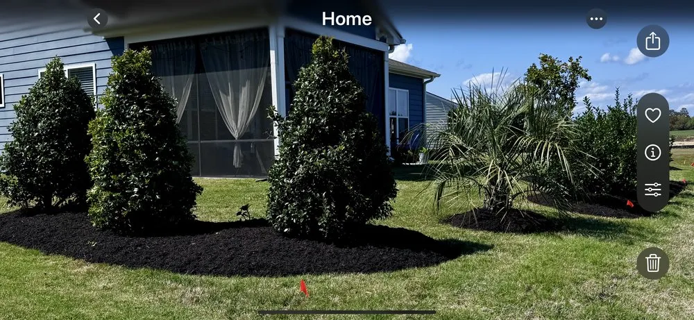 Expert yard maintenance in Loris, SC - Southern Scapes