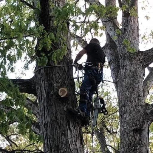 Top-rated landscaping services for outdoor upgrades in Clemmons, NC by Southern Scapes NC