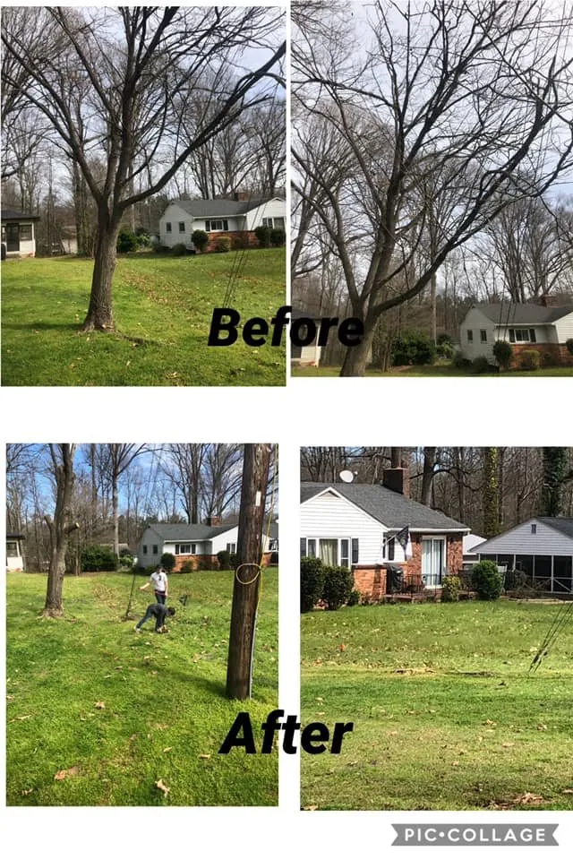 Reliable landscape design experts serving Clemmons, NC - Southern Scapes NC