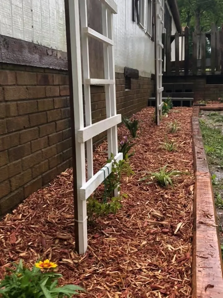 Trusted outdoor landscaping for residential properties across Clemmons, NC - Southern Scapes NC