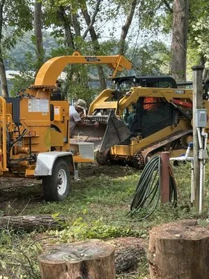 Southern Scapes Logo