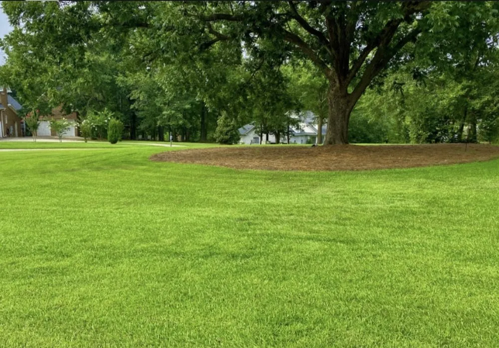 Trusted residential landscaping in Sparta, TN by Southern Scapes