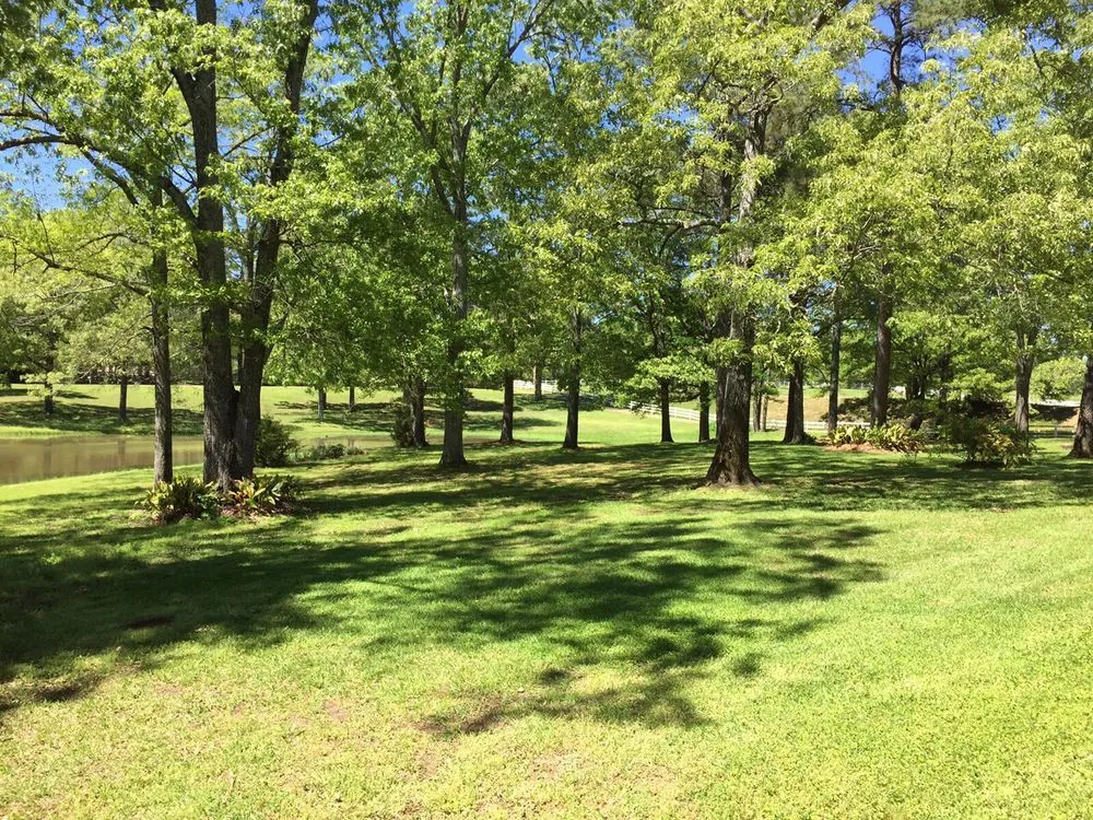 Trusted landscaping services with custom design across Terry, MS - Southern 'Scapes