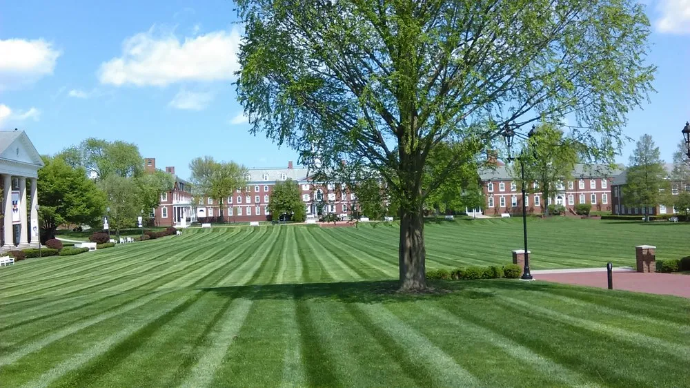 Top-rated landscape design in La Grange, KY by Southern Scenery