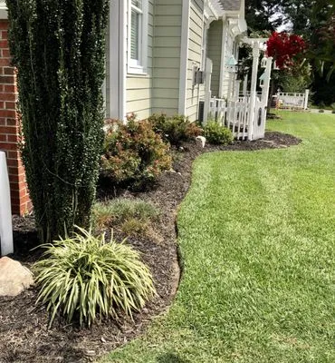 Southern Seasons Landscaping & Ground Maintenance Logo