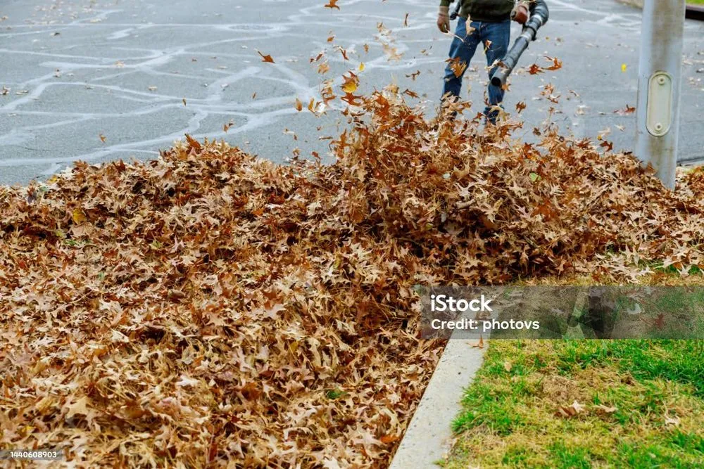 Top-rated yard cleanup service for outdoor upgrades across Palmetto, GA - Southern Serenity Scapes