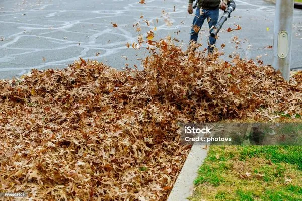 Southern Serenity Scapes Logo