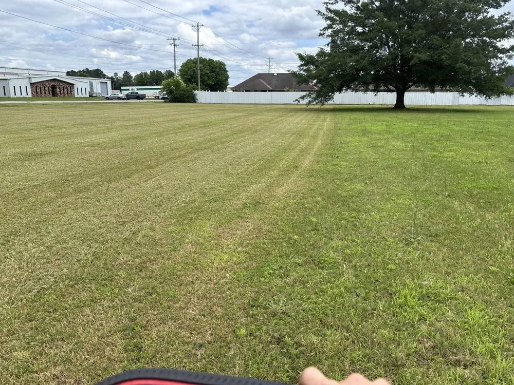 Expert outdoor landscaping for beautiful yards across Florence, AL - Southern Service