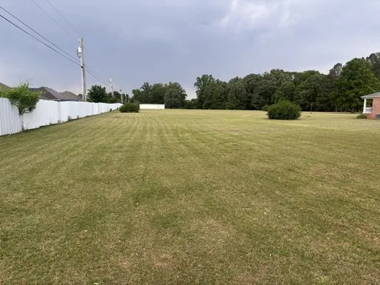 Southern Service Logo