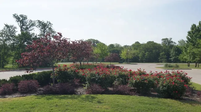 Trusted landscape design experts serving Denton, TX - Southern Services Landscape & Irrigation