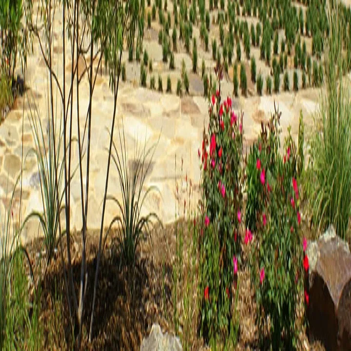 Expert landscape design experts serving Denton, TX - Southern Services Landscape & Irrigation