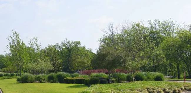 Trusted garden landscaping with custom design in Denton, TX by Southern Services Landscape & Irrigation
