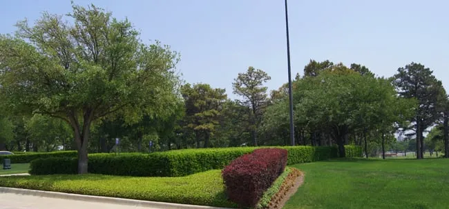 Trusted landscape installation for residential properties in Denton, TX by Southern Services Landscape & Irrigation