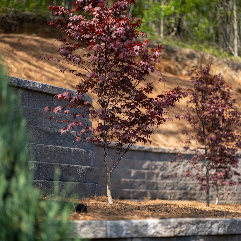 Local yard cleanup service experts serving Knoxville, TN - Southern Shade Landscaping