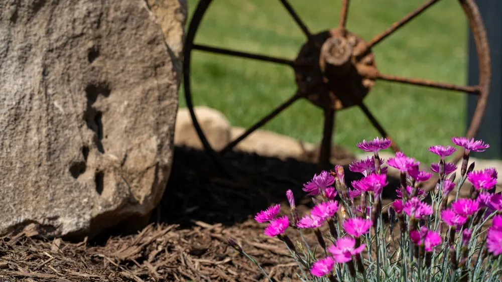 Top-rated garden landscaping near you across Knoxville, TN - Southern Shade Landscaping